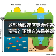 这些胎教误区竟会伤害宝宝?正确方法是关键!(图2) 这些胎教误区竟会伤害宝宝?正确方法是关键!(图2)