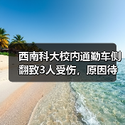 西南科大校内通勤车侧翻致3人受伤,原因待查?(图3) 西南科大校内通勤车侧翻致3人受伤,原因待查?(图3)