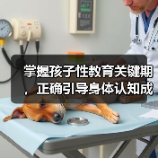 掌握孩子性教育关键期，正确引导身体认知成长（图4）
