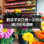教育子女只有一次机会 错过终将遗憾(图2) 教育子女只有一次机会 错过终将遗憾(图2)