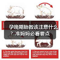 孕晚期胎教该注意什么?准妈妈必看要点(图3) 孕晚期胎教该注意什么?准妈妈必看要点(图3)