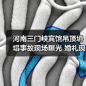 河南三门峡宾馆吊顶坍塌事故现场曝光 婚礼现场惊魂(图1) 河南三门峡宾馆吊顶坍塌事故现场曝光 婚礼现场惊魂(图1)