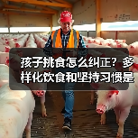 孩子挑食怎么纠正?多样化饮食和坚持习惯是关键(图4) 孩子挑食怎么纠正?多样化饮食和坚持习惯是关键(图4)