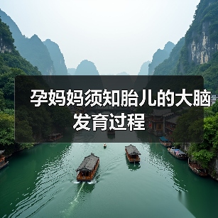 孕妈妈须知胎儿的大脑发育过程(图2) 孕妈妈须知胎儿的大脑发育过程(图2)