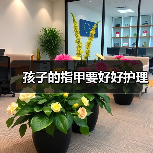 孩子的指甲要好好护理(图1) 孩子的指甲要好好护理(图1)
