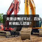 夫妻感情好不好,直接影响胎儿健康?(图4) 夫妻感情好不好,直接影响胎儿健康?(图4)