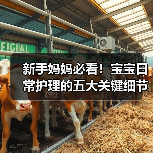 新手妈妈必看!宝宝日常护理的五大关键细节解析(图3) 新手妈妈必看!宝宝日常护理的五大关键细节解析(图3)