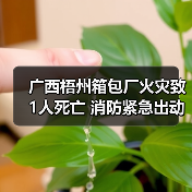 广西梧州箱包厂火灾致1人死亡 消防紧急出动（图2）