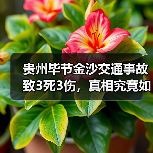 贵州毕节金沙交通事故致3死3伤,真相究竟如何?(图3) 贵州毕节金沙交通事故致3死3伤,真相究竟如何?(图3)