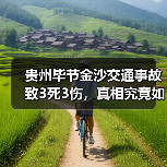 贵州毕节金沙交通事故致3死3伤,真相究竟如何?(图4) 贵州毕节金沙交通事故致3死3伤,真相究竟如何?(图4)