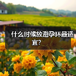 什么时候放避孕环最适宜?(图3) 什么时候放避孕环最适宜?(图3)