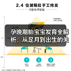 孕晚期胎宝宝发育全解析:从足月到出生的关键变化(图1) 孕晚期胎宝宝发育全解析:从足月到出生的关键变化(图1)