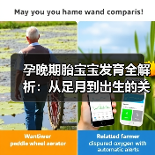 孕晚期胎宝宝发育全解析:从足月到出生的关键变化(图4) 孕晚期胎宝宝发育全解析:从足月到出生的关键变化(图4)