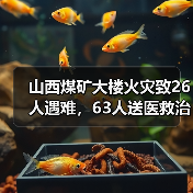 山西煤矿大楼火灾致26人遇难,63人送医救治(图3) 山西煤矿大楼火灾致26人遇难,63人送医救治(图3)