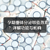 孕期垂体分泌哪些激素?详解功能与影响(图2) 孕期垂体分泌哪些激素?详解功能与影响(图2)