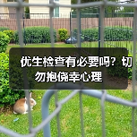优生检查有必要吗?切勿抱侥幸心理(图1) 优生检查有必要吗?切勿抱侥幸心理(图1)