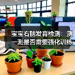 宝宝右脑发育检测：测一测是否需要强化训练（图2）