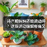 待产期妈妈还能运动吗?这些运动缓解疼痛又助分娩(图2) 待产期妈妈还能运动吗?这些运动缓解疼痛又助分娩(图2)