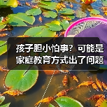 孩子胆小怕事?可能是家庭教育方式出了问题(图1) 孩子胆小怕事?可能是家庭教育方式出了问题(图1)