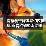 南航航班降落疑似擦机尾 乘客称如坠水泥地(图4) 南航航班降落疑似擦机尾 乘客称如坠水泥地(图4)