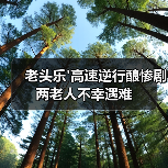 老头乐'高速逆行酿惨剧 两老人不幸遇难(图4) 老头乐'高速逆行酿惨剧 两老人不幸遇难(图4)