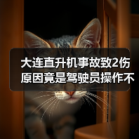 大连直升机事故致2伤 原因竟是驾驶员操作不当?(图2) 大连直升机事故致2伤 原因竟是驾驶员操作不当?(图2)