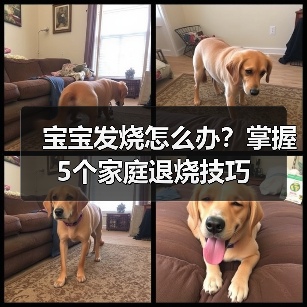 宝宝发烧怎么办?掌握5个家庭退烧技巧(图3) 宝宝发烧怎么办?掌握5个家庭退烧技巧(图3)