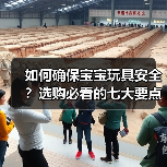 如何确保宝宝玩具安全?选购必看的七大要点(图1) 如何确保宝宝玩具安全?选购必看的七大要点(图1)