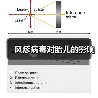风疹病毒对胎儿的影响(图3) 风疹病毒对胎儿的影响(图3)