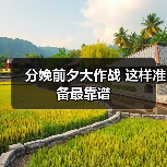 分娩前夕大作战 这样准备最靠谱（图2）