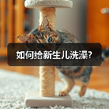 如何给新生儿洗澡？（图3）