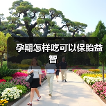 孕期怎样吃可以保胎益智（图1）