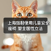 上海强制使用儿童安全座椅 望全国性立法(图2) 上海强制使用儿童安全座椅 望全国性立法(图2)