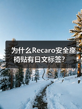 为什么Recaro安全座椅贴有日文标签?(图4) 为什么Recaro安全座椅贴有日文标签?(图4)