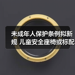 未成年人保护条例拟新规 儿童安全座椅或标配(图1) 未成年人保护条例拟新规 儿童安全座椅或标配(图1)