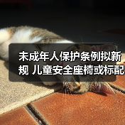 未成年人保护条例拟新规 儿童安全座椅或标配(图3) 未成年人保护条例拟新规 儿童安全座椅或标配(图3)