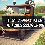 未成年人保护条例拟新规 儿童安全座椅或标配(图3) 未成年人保护条例拟新规 儿童安全座椅或标配(图3)