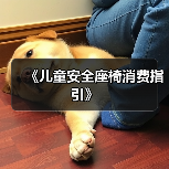 《儿童安全座椅消费指引》(图4) 《儿童安全座椅消费指引》(图4)