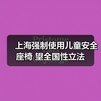 上海强制使用儿童安全座椅 望全国性立法(图3) 上海强制使用儿童安全座椅 望全国性立法(图3)