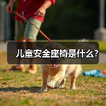 儿童安全座椅是什么?(图4) 儿童安全座椅是什么?(图4)