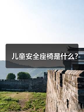 儿童安全座椅是什么?(图3) 儿童安全座椅是什么?(图3)