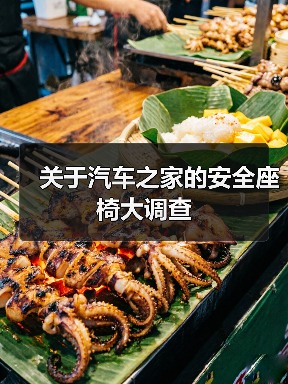 关于汽车之家的安全座椅大调查(图3) 关于汽车之家的安全座椅大调查(图3)